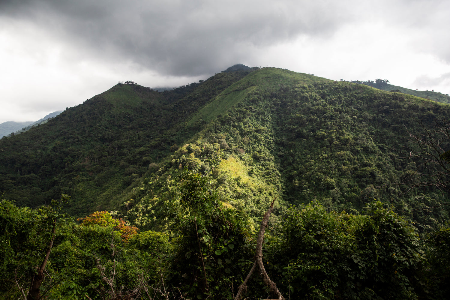 image de colombie